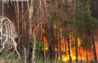 Харківщина у вогні: в регіоні досі палають майже 4 тисячі гектарів лісу