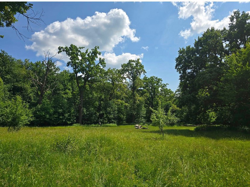 Урочище Теремки