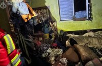 На Львівщині через отруєння продуктами горіння у приватному будинку загинули троє дітей 