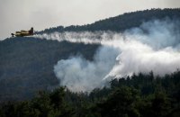 У Греції заарештували 79 паліїв, яких підозрюють у причетності до лісових пожеж