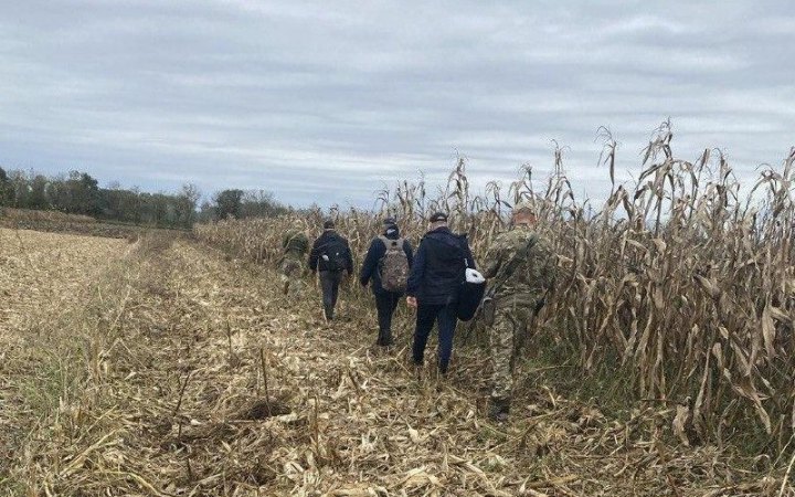 На Закарпатті троє чоловіків намагалися потрапити в Угорщину через кукурудзу