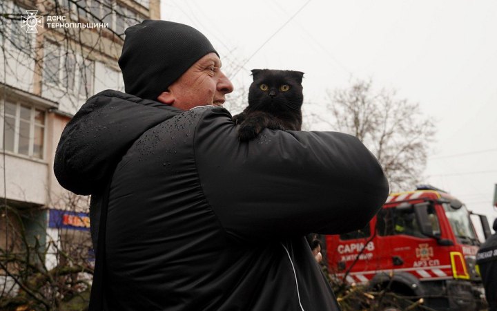 У Тернополі рятувальники знайшли під завалами двох кішок