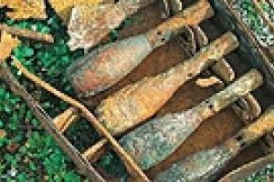 В лесу Вышгородского района обнаружен арсенал боеприпасов