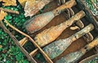 В лесу Вышгородского района обнаружен арсенал боеприпасов