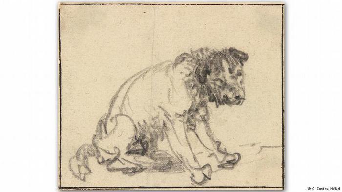Рембрандт ван Рейн. Набросок сидящей собаки