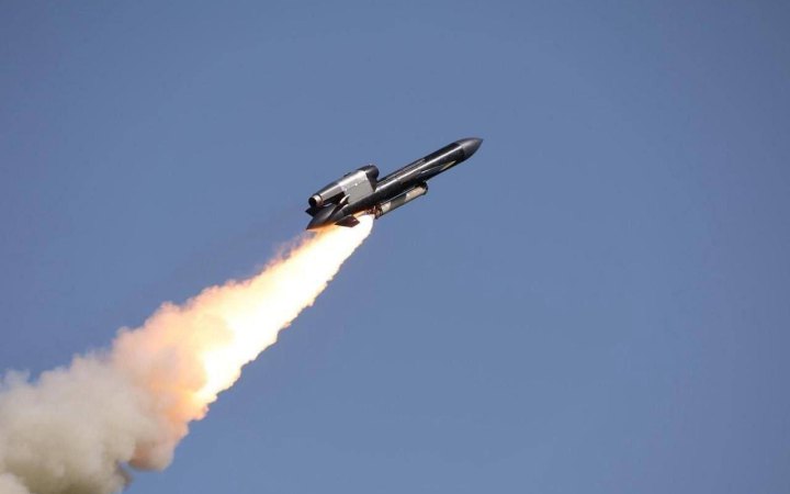 Зеленський: Україна вже застосовує ракети "Фламінго" і "Сапсан"