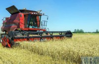 Урожай ранніх зернових в Україні став другим за обсягом за час незалежності