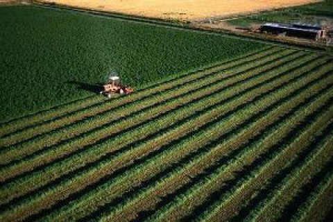 КСУ отримав звернення від аграрних асоціацій щодо земельної реформи