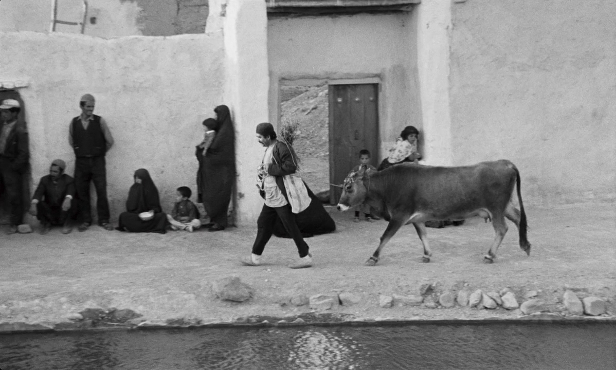 Кадр з фільму 'Корова'.