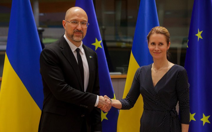 Шмигаль: Україна виконала 81% своїх зобовʼязань за Угодою про асоціацію з ЄС