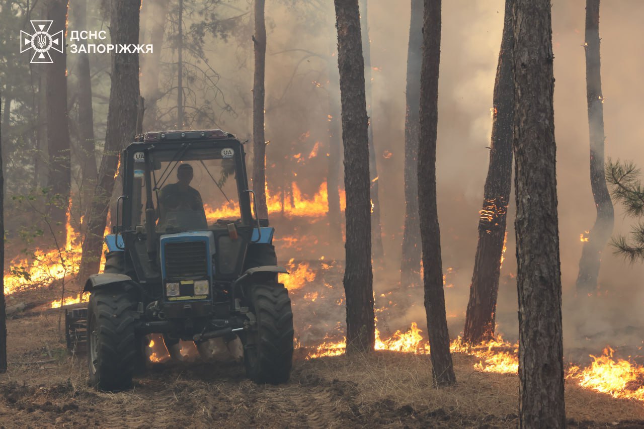 Ліквідація лісової пожежі на Запоріжжі