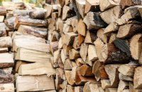 В Україні створено рекордний запас дров, – Держлісагентство