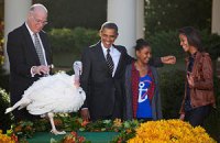 Обама дал двум индейкам "второй шанс" в честь Дня благодарения