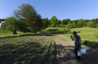 В Україні зменшується площа сільгоспугідь
