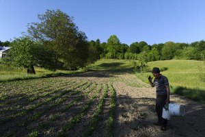 В Україні зменшується площа сільгоспугідь