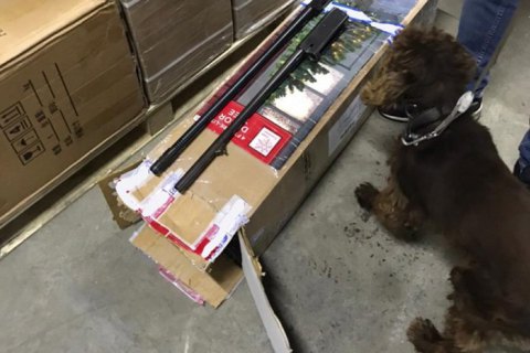 На Львівщині службовий собака знайшов зброю в посилках із США і Канади 