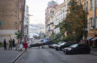 У Києві через падіння дерева на дорогу змінили кілька тролейбусних маршрутів
