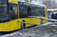 В центре Киева огромное дерево упало на автобус