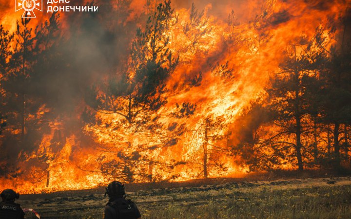 Масштабні лісові пожежі спалахнули на Донеччині