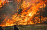 Масштабні лісові пожежі спалахнули на Донеччині
