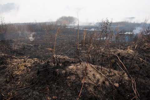 В Киевской области продолжают тушить 102 га торфяников