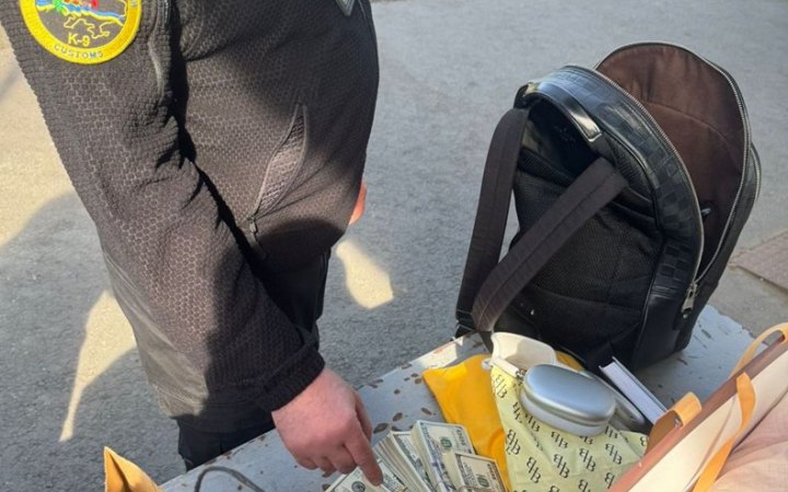 ​Службовий пес митників винюхав 4 млн грн готівки в речах жительки Закарпаття, яка прямувала до Словаччини