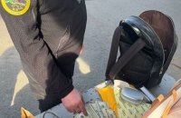 ​Службовий пес митників винюхав 4 млн грн готівки в речах жительки Закарпаття, яка прямувала до Словаччини