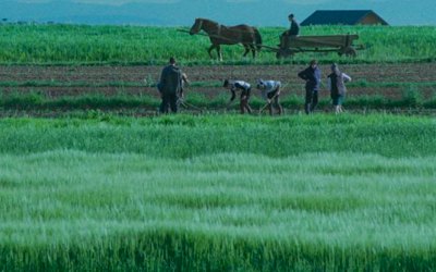 Національний конкурс Docudays UA: від загального до конкретного, від конкретного до глобального 