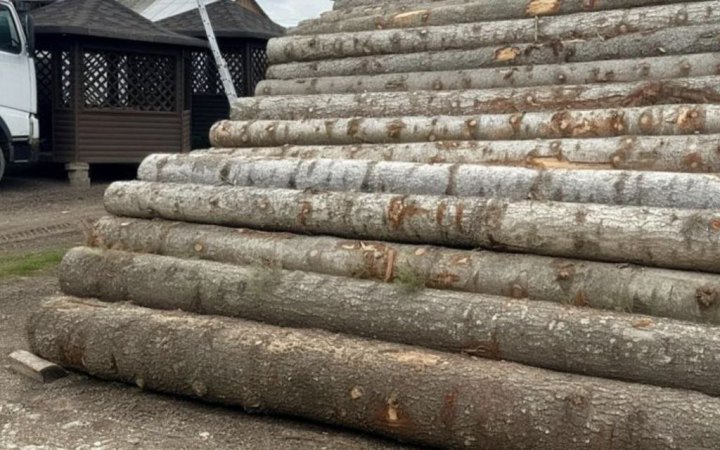 На Буковині зупинили тіньовий експорт лісу до Молдови на 10 мільйонів гривень