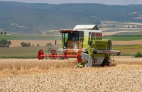 Украина в ближайшие годы способна удвоить производство сельхозпродукции, - Присяжнюк