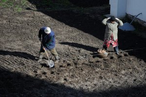 Українці провели травневі свята на городах, - опитування