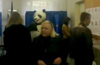 На выборах в Верховную Раду проголосовала панда 