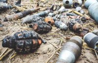 Сапери обстежили селище на Київщині: знайдено десятки снарядів, гранат, мін та розтяжок (фото)