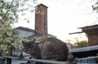 ​Ходорів. Залізничний вузол та історичне місто