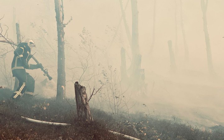 У Чернівецькій області триває гасіння загоряння лісової підстилки на площі 7 га  у національному природному парку