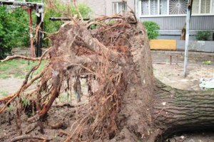 Из-за бури в Запорожской области погиб человек
