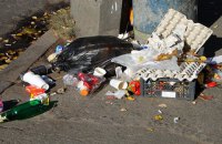 У Раду внесли законопроект про драконівські штрафи за кидання сміття повз урни