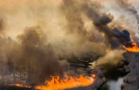 Из-за действий российских оккупантов пожары в зоне отчуждения охватили более 10 тысяч га, - Минприроды