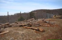 На мысе Айя вырубили 10 га леса и установили забор