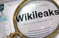 Обвинение владельца WikiLeaks - это классическая подстава, - Колесниченко