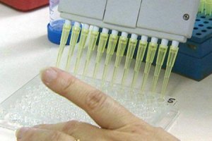Зелений чай може обдурити олімпійський допінг-тест
