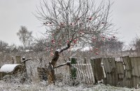 В Україні у четвер буде без опадів