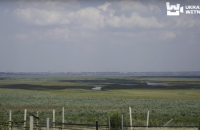 Через річку від росіян: журналісти показали, як ворог створює «мертву зону» біля ЗАЕС і випалює вулиці Нікополя