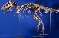 Монголия хочет вернуть скелет динозавра, проданый в США