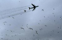У Непалі через зіткнення з птахом розбився літак