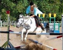 В Днепропетровске состоится открытый чемпионат по конному спорту 