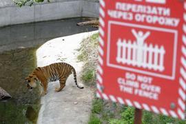 В столичном зоопарке животные умирали случайно