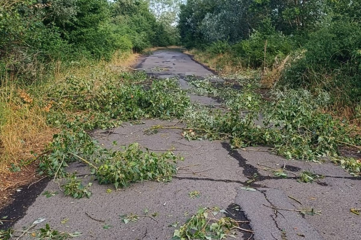 наслідки негоди
