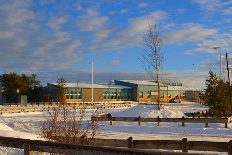 В Канаде в результате стрельбы в школе погибли четыре человека (обновлено)