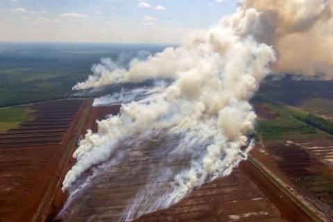 Латвия просит международной помощи в тушении лесного пожара